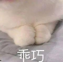 国产a斤,引领行业新潮流的匠心之作